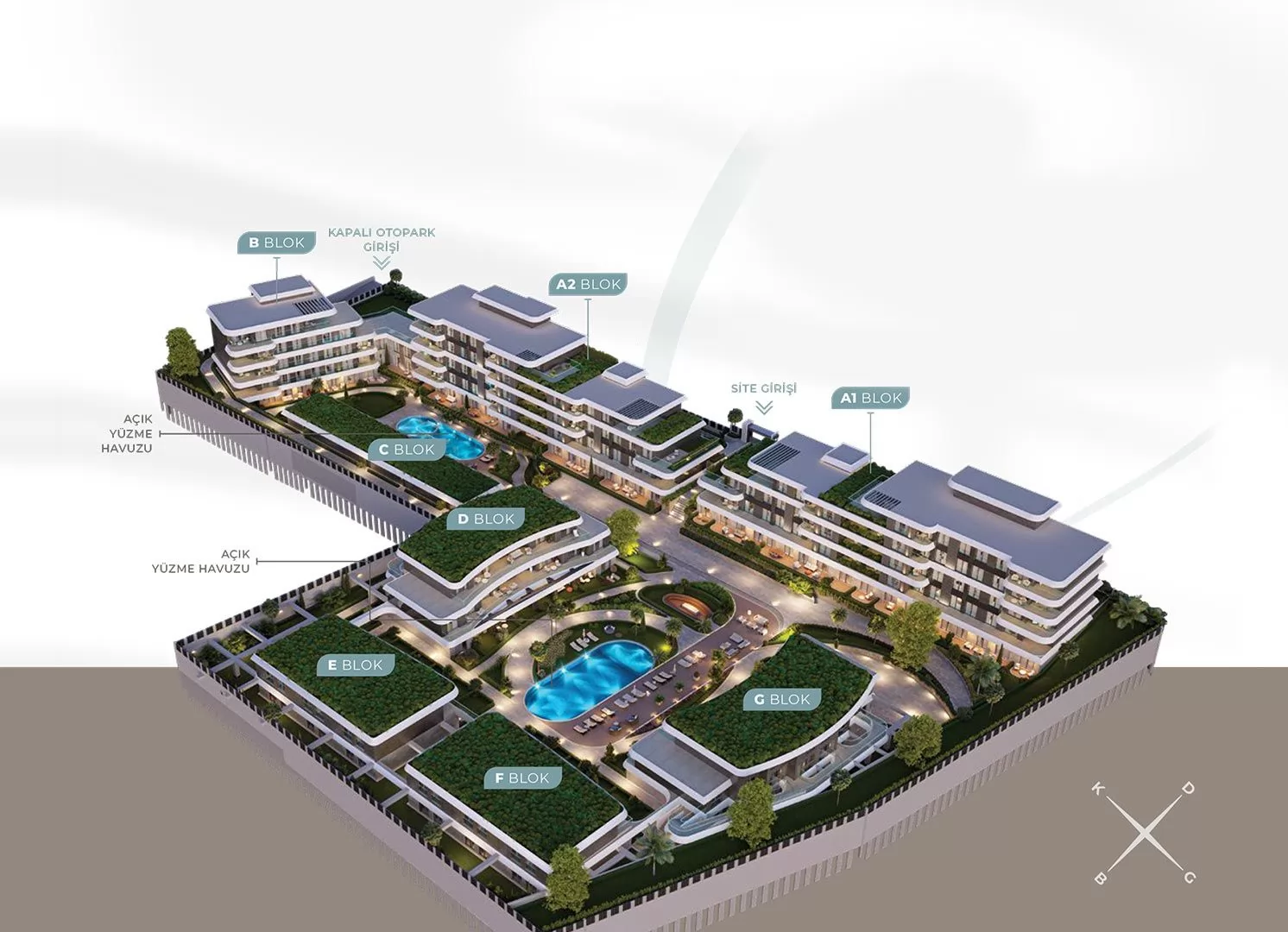 An arrival to remember